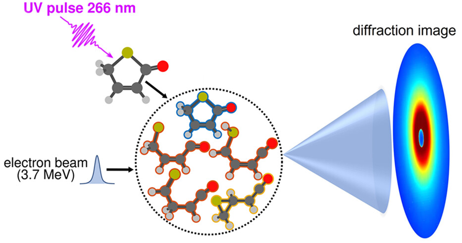 images_large_ja3c13046_0007-2